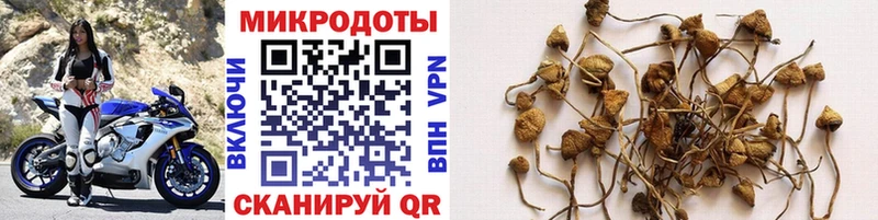 гидра ССЫЛКА  Пестово  Псилоцибиновые грибы MAGIC MUSHROOMS 